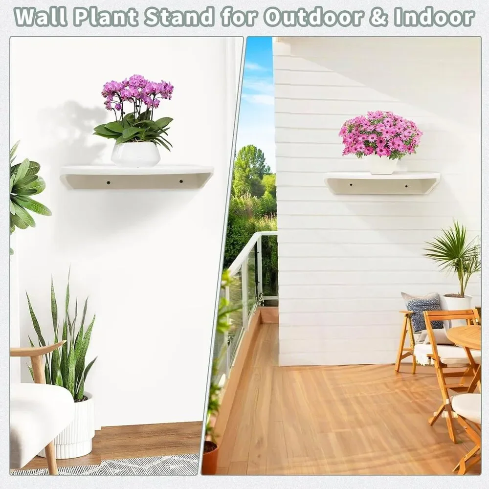 Floating Plant Shelves 2 Pack 5.9x7.4 Wall Mounted Display Shelf Home Decor Set